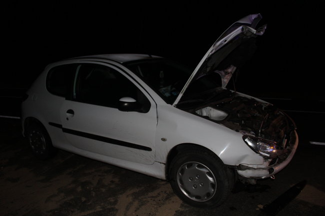 Peugeotem w dzika...