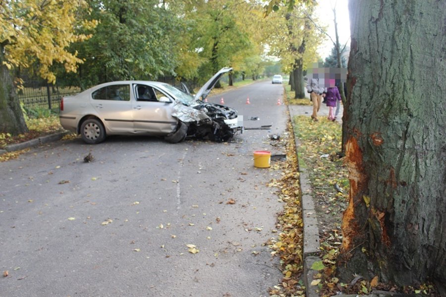 Uderzył prosto w drzewo