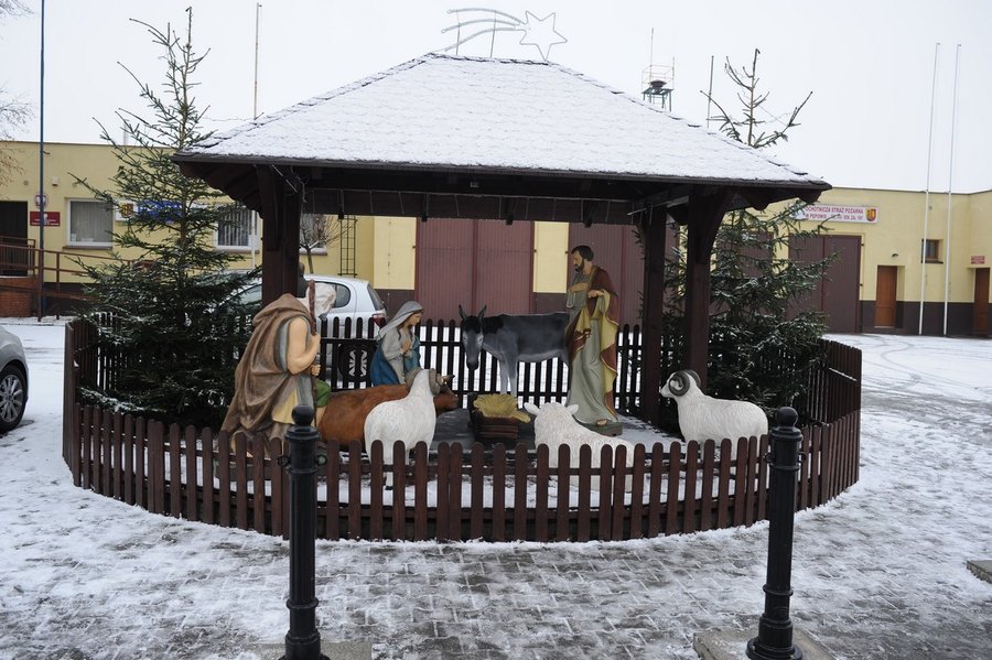 Choinka i szopka już stoją