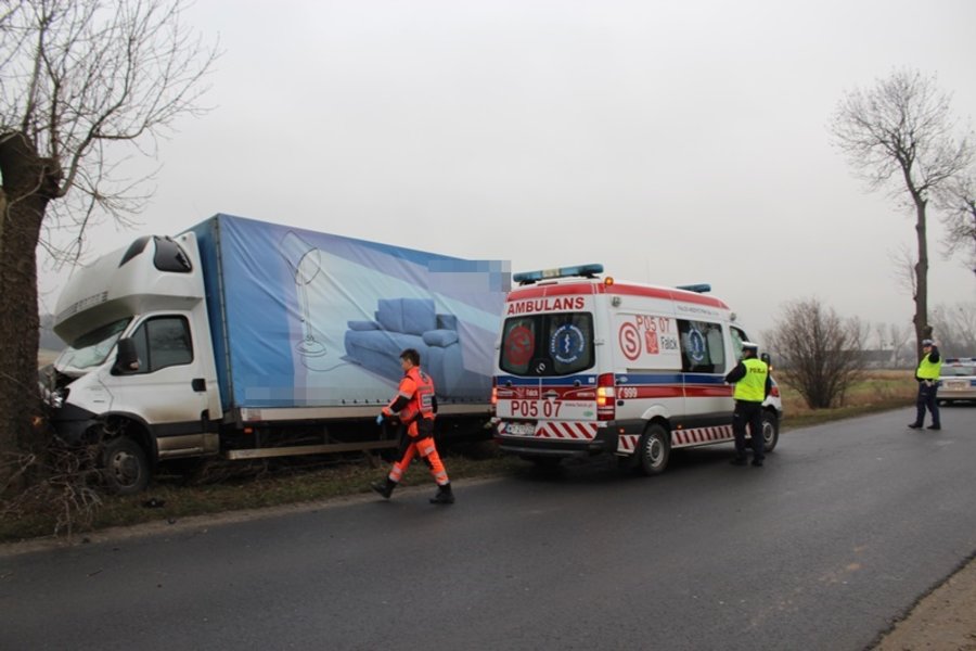 Meblobus uderzył w drzewo