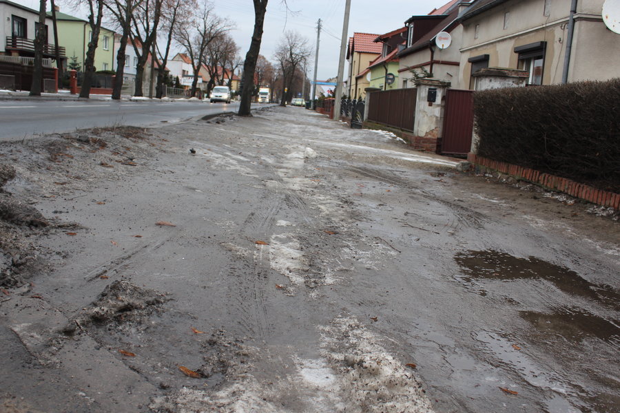 Czy gmina 