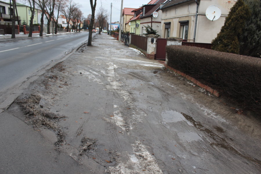 Czy gmina 