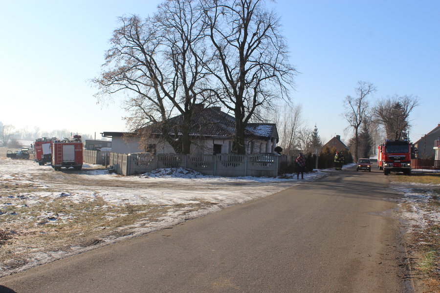 Pożar na fermie szynszyli