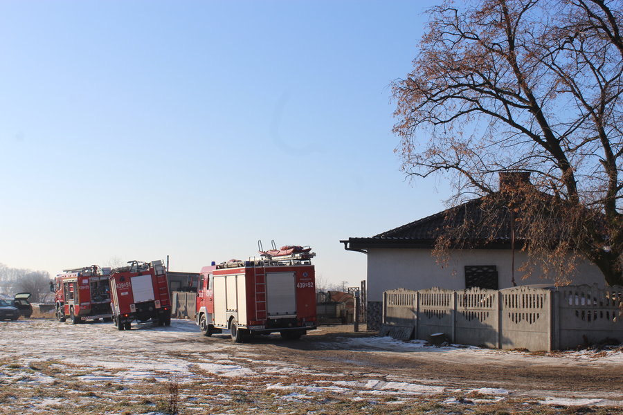 Pożar na fermie szynszyli