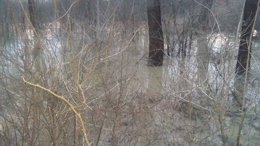 Ulewa, błoto i zalane posesje