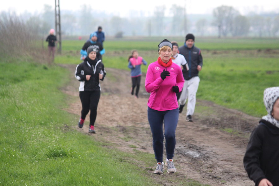 Biegli sprawdzić, czy grób jest pusty - film