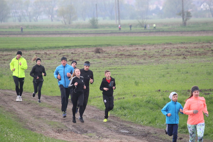 Biegli sprawdzić, czy grób jest pusty - film