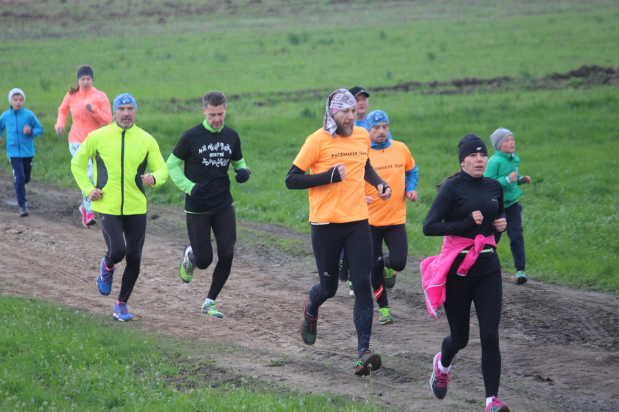 Biegli sprawdzić, czy grób jest pusty - film