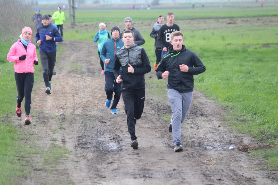 Biegli sprawdzić, czy grób jest pusty - film