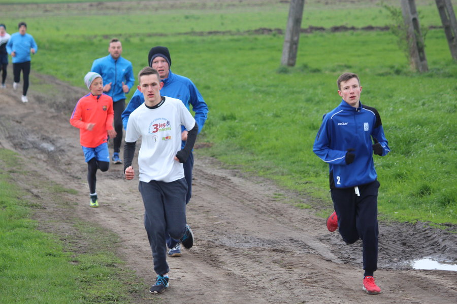 Biegli sprawdzić, czy grób jest pusty - film