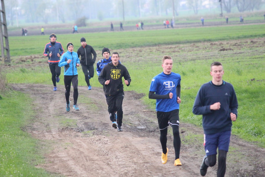 Biegli sprawdzić, czy grób jest pusty - film