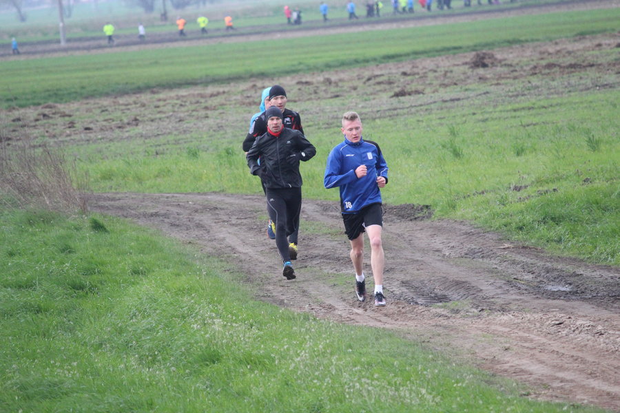 Biegli sprawdzić, czy grób jest pusty - film