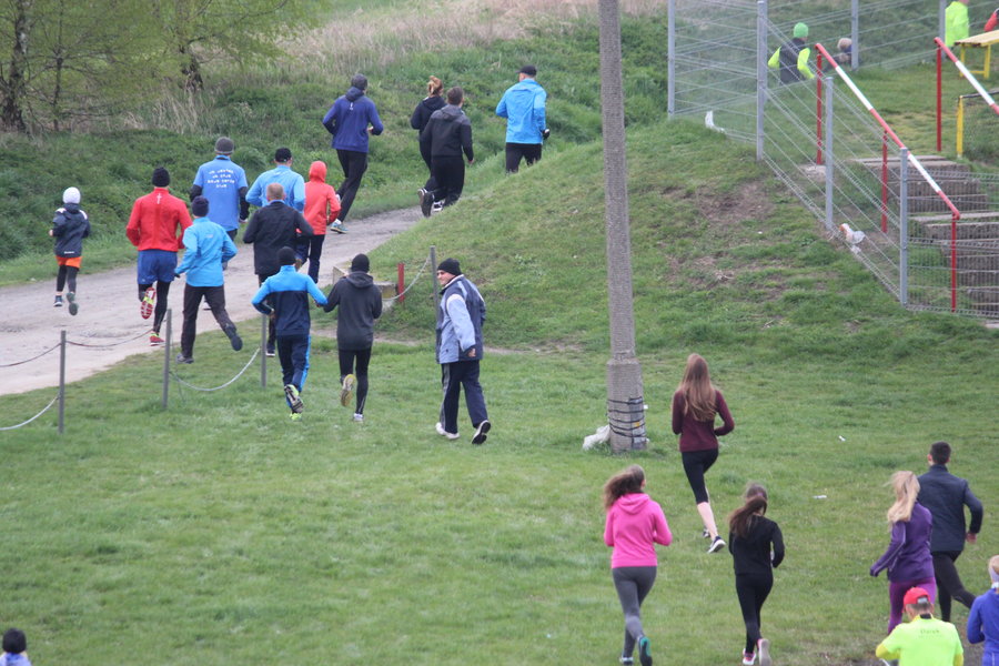 Biegli sprawdzić, czy grób jest pusty - film