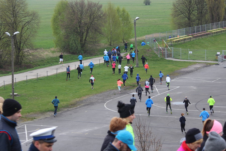 Biegli sprawdzić, czy grób jest pusty - film