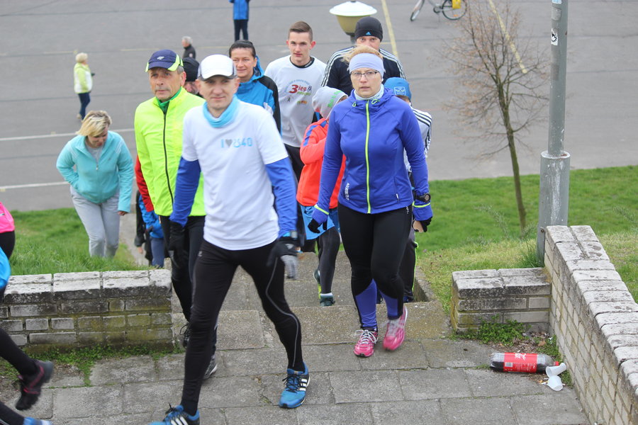 Biegli sprawdzić, czy grób jest pusty - film