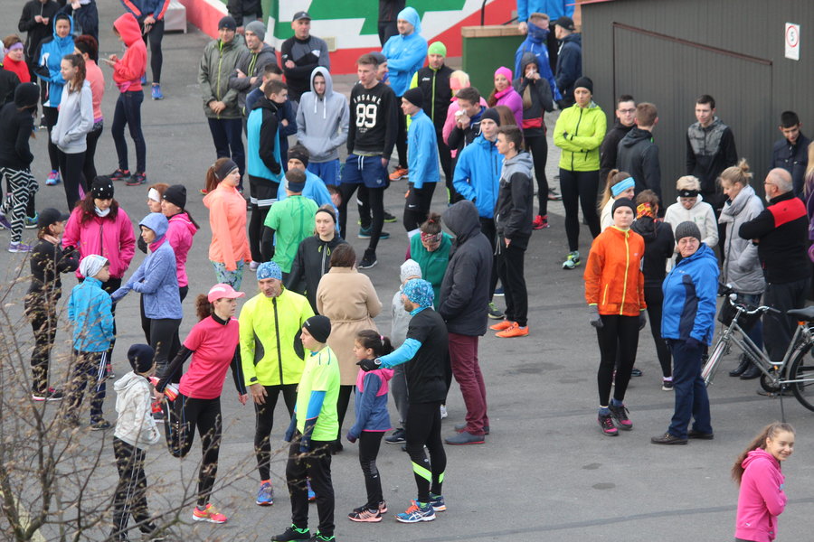 Biegli sprawdzić, czy grób jest pusty - film