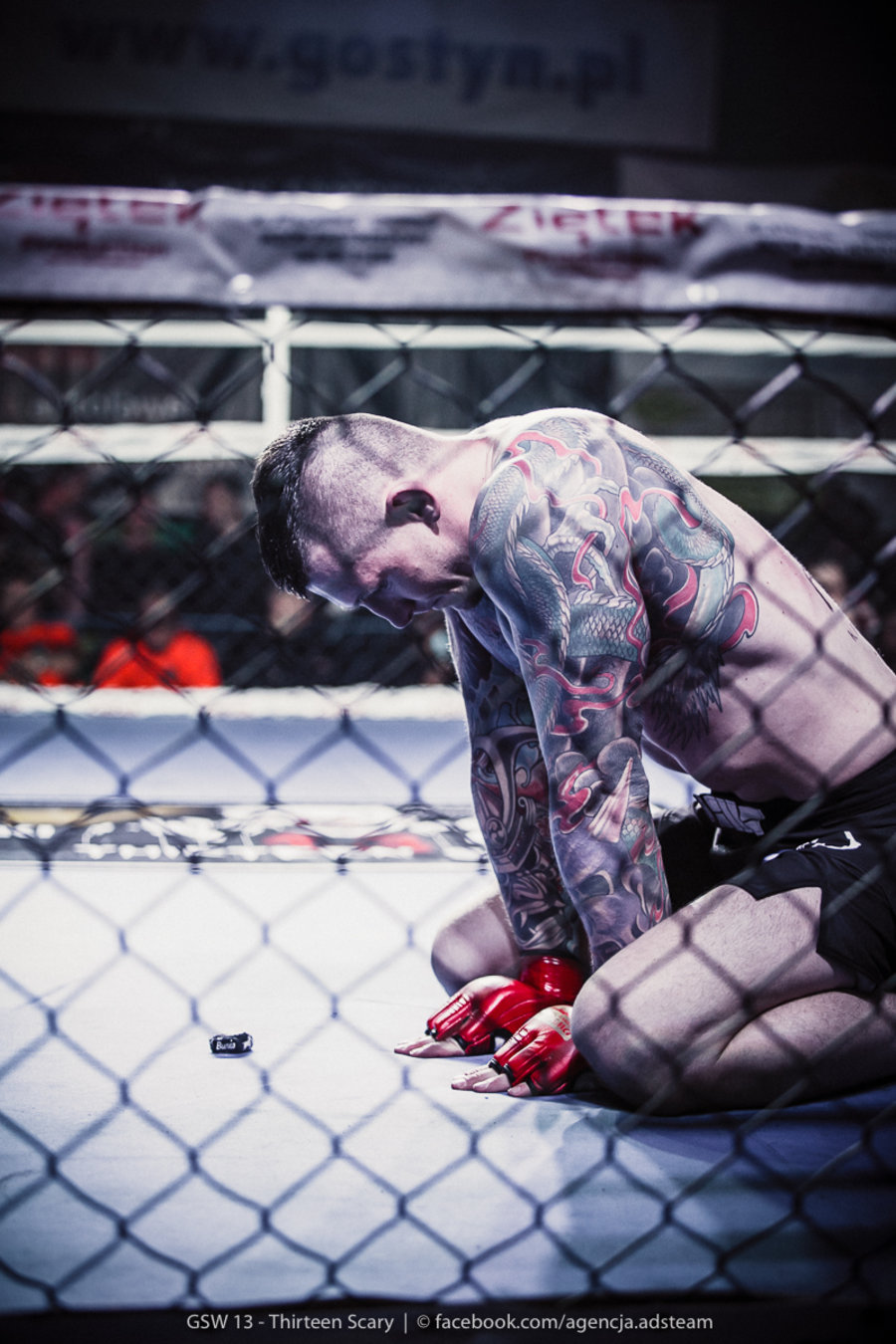 Gala na najwyższym poziomie - film