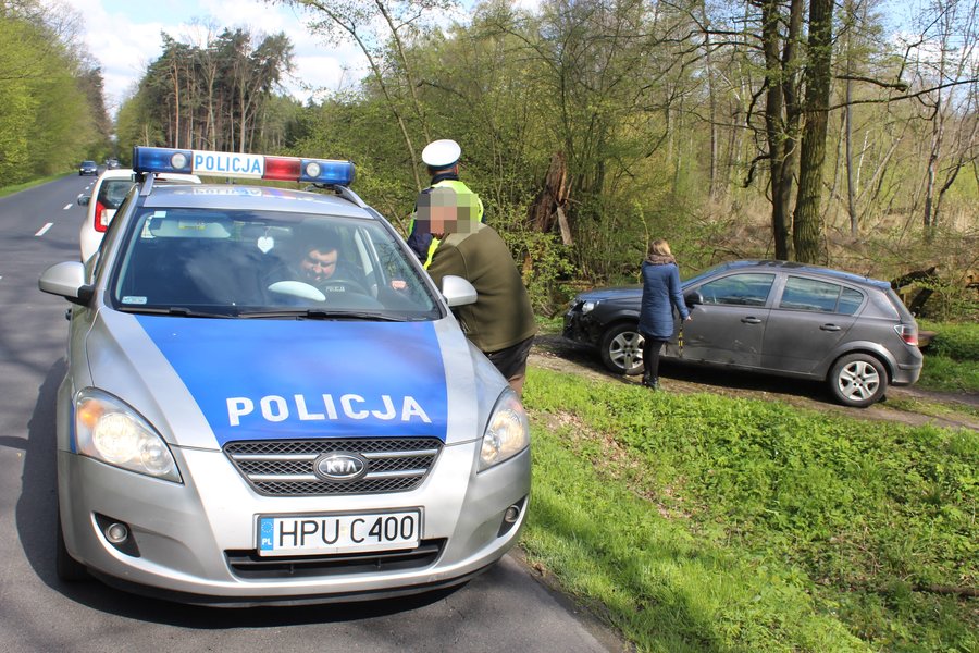 Wybiegł z lasu prosto pod koła