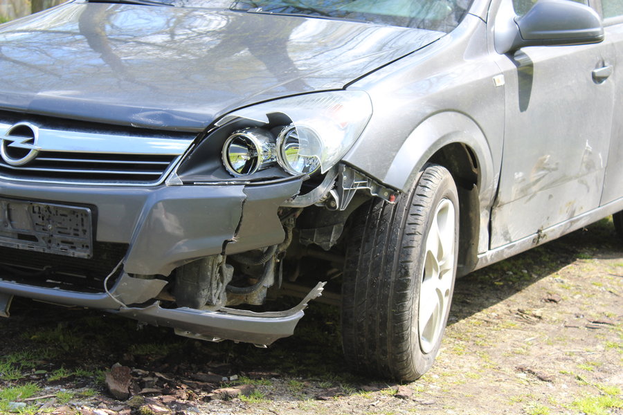 Wybiegł z lasu prosto pod koła