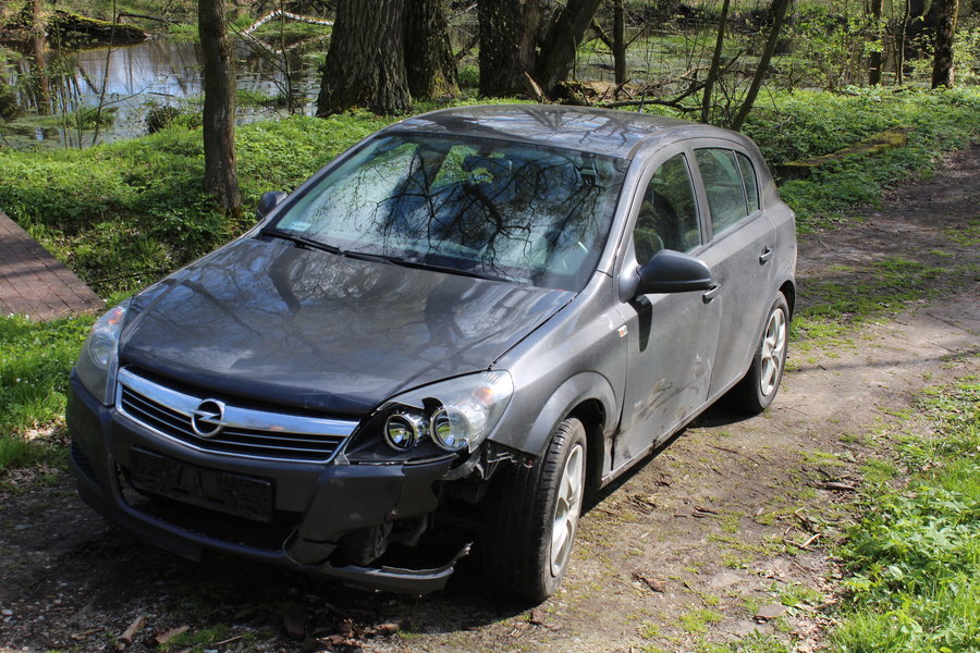 Wybiegł z lasu prosto pod koła