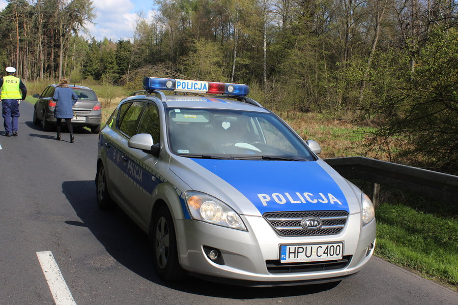 Wybiegł z lasu prosto pod koła