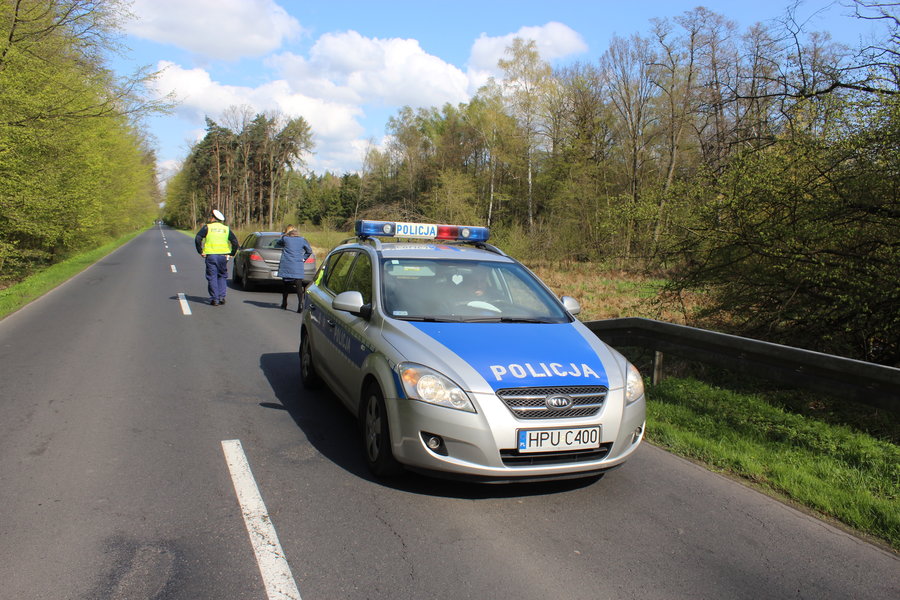 Wybiegł z lasu prosto pod koła