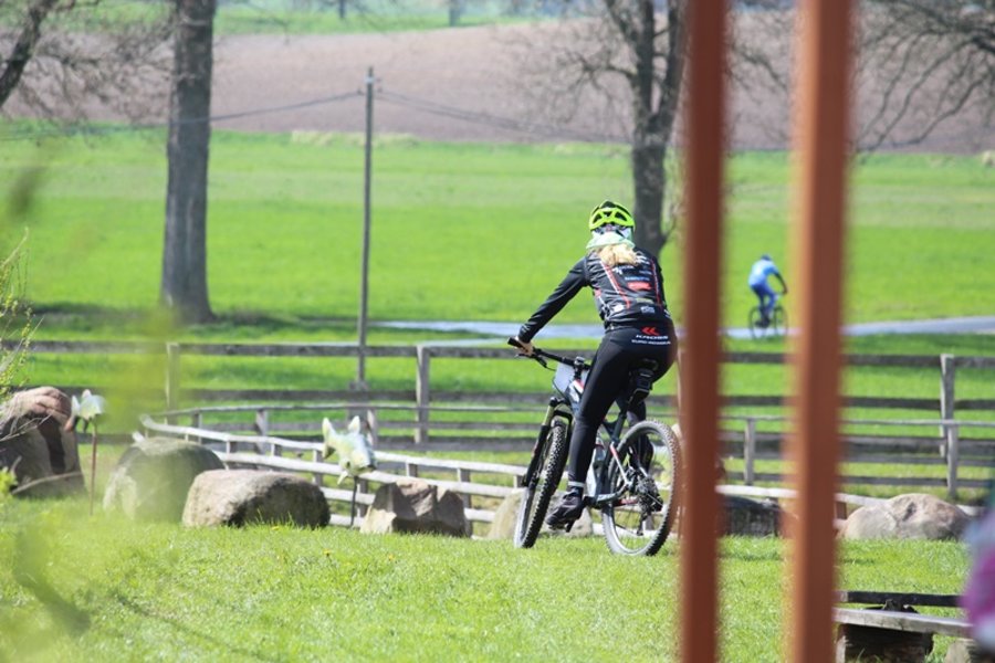 Żądni ekstremalnych wrażeń - film