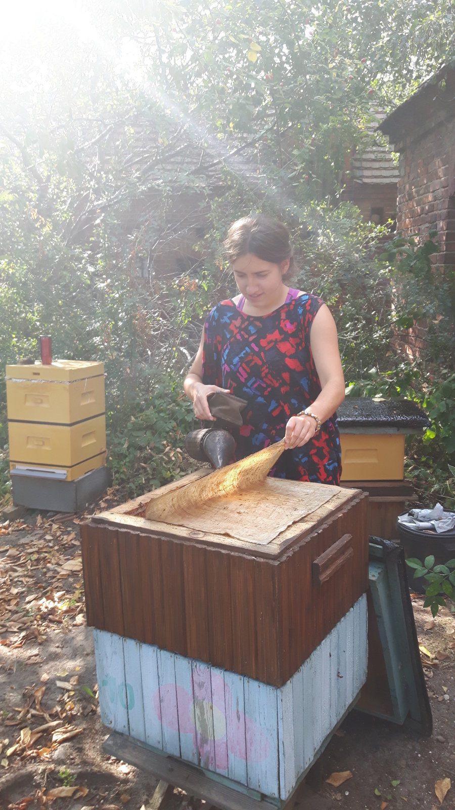 Miodowe lata Weroniki Wasiak