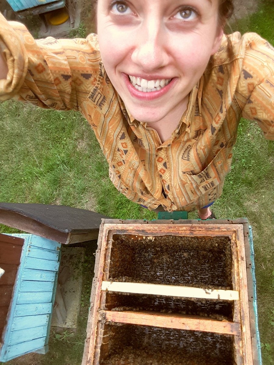 Miodowe lata Weroniki Wasiak