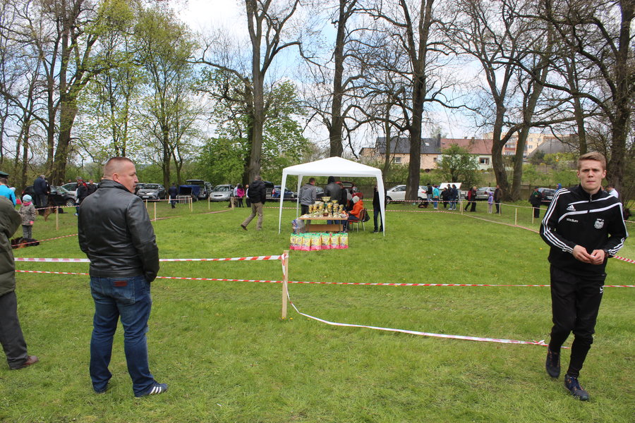 Pierwsza wystawa i ogromny sukces - film