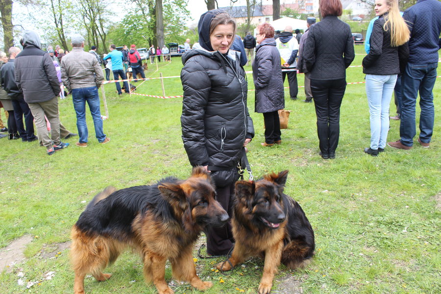 Pierwsza wystawa i ogromny sukces - film