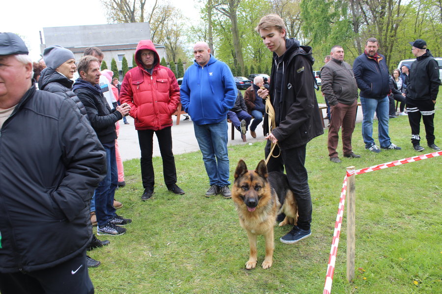 Pierwsza wystawa i ogromny sukces - film