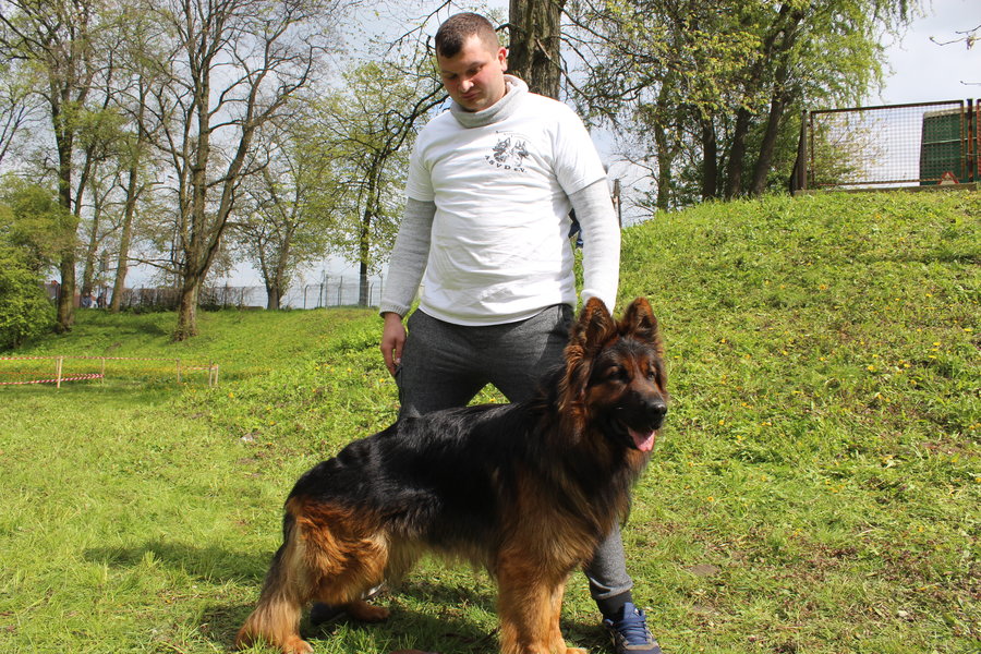 Pierwsza wystawa i ogromny sukces - film