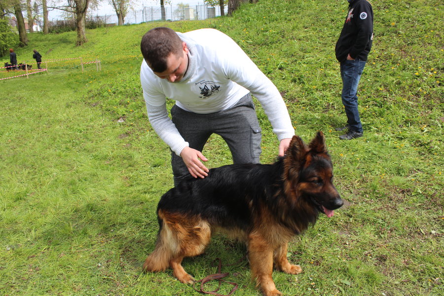 Pierwsza wystawa i ogromny sukces - film