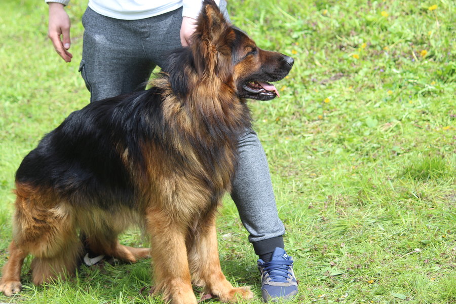 Pierwsza wystawa i ogromny sukces - film