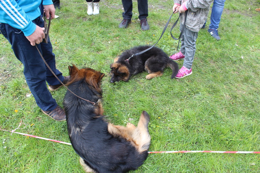 Pierwsza wystawa i ogromny sukces - film