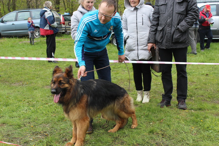 Pierwsza wystawa i ogromny sukces - film