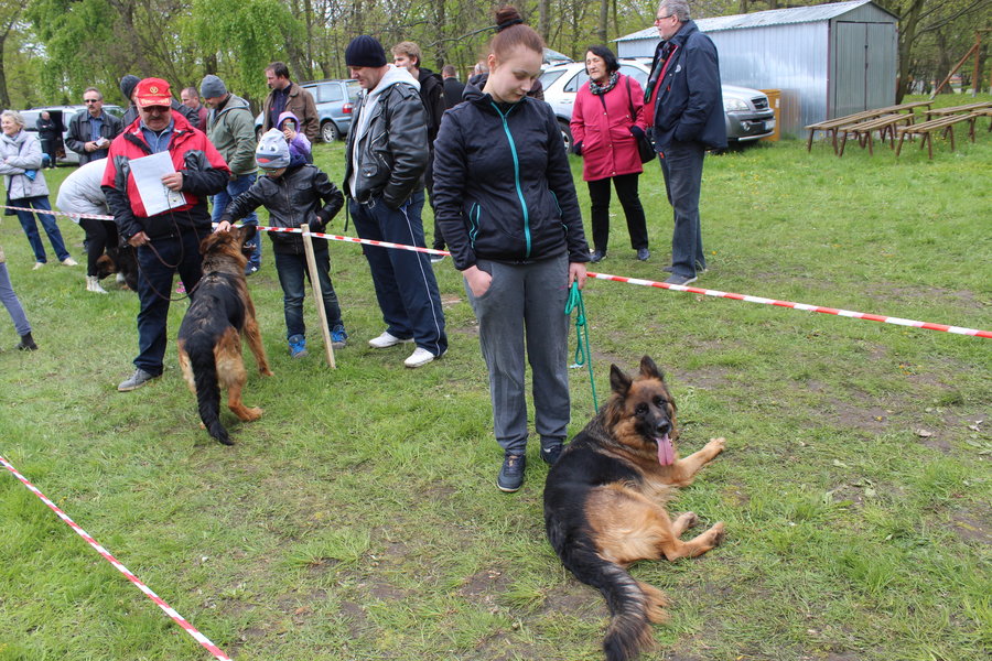 Pierwsza wystawa i ogromny sukces - film