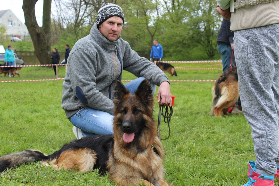 Pierwsza wystawa i ogromny sukces - film