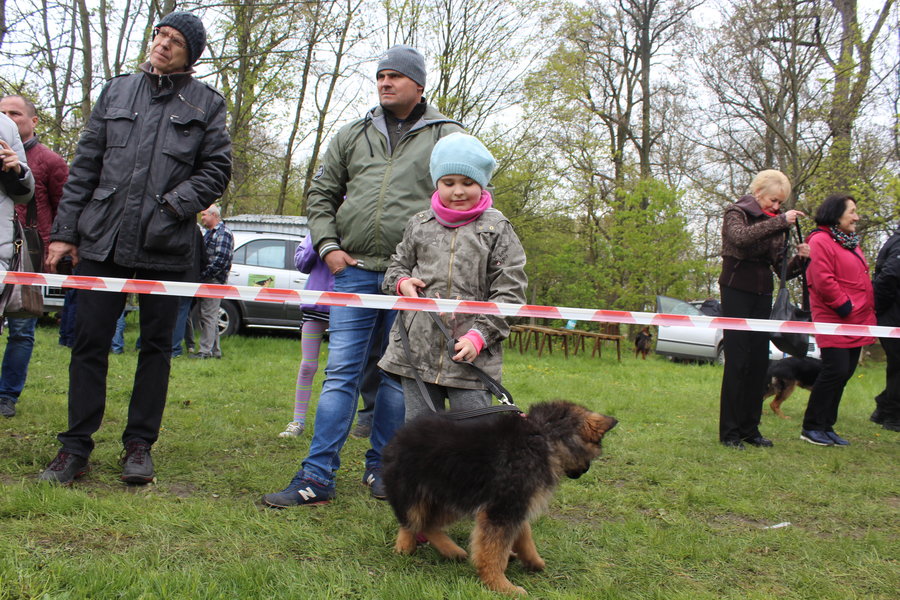 Pierwsza wystawa i ogromny sukces - film