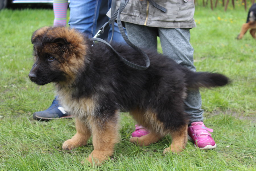 Pierwsza wystawa i ogromny sukces - film