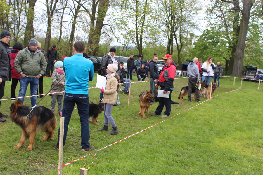 Pierwsza wystawa i ogromny sukces - film