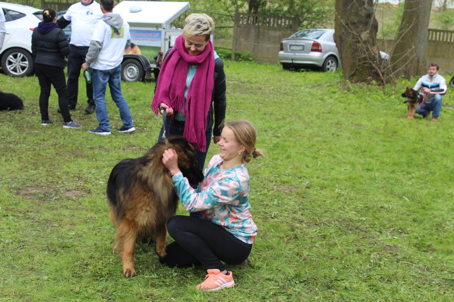 Pierwsza wystawa i ogromny sukces - film
