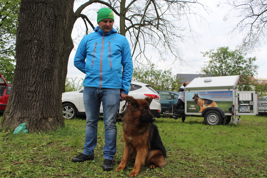 Pierwsza wystawa i ogromny sukces - film