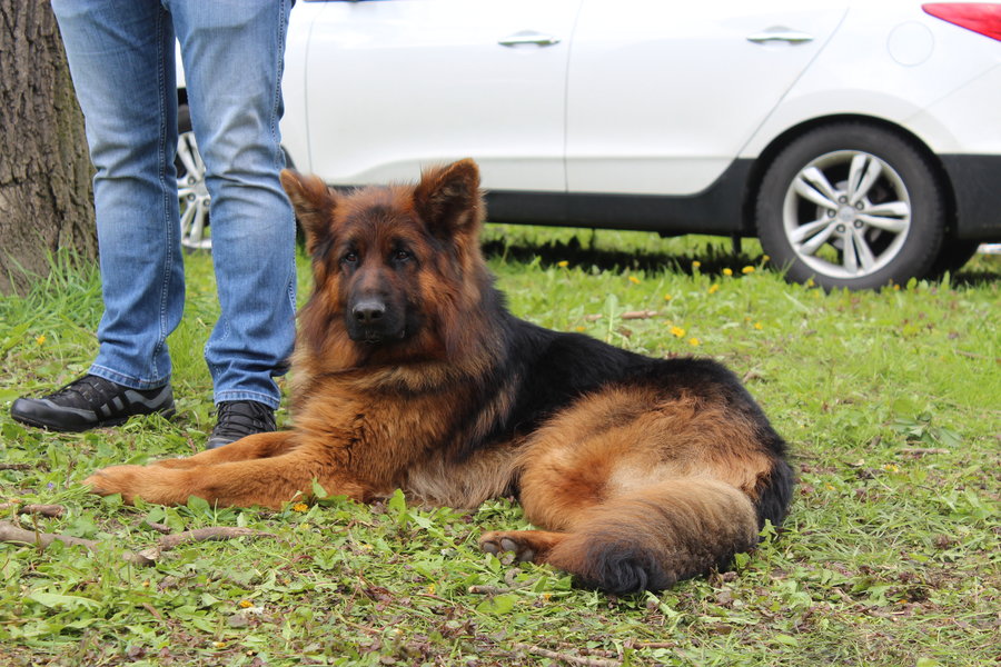 Pierwsza wystawa i ogromny sukces - film