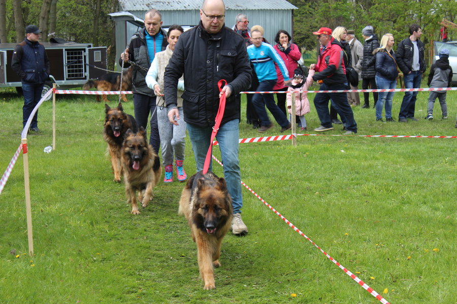 Pierwsza wystawa i ogromny sukces - film