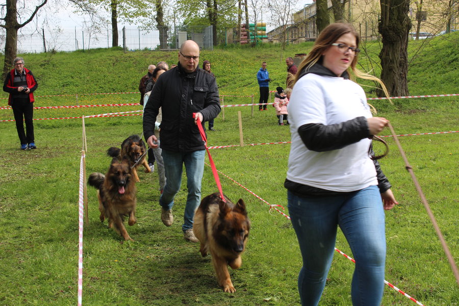 Pierwsza wystawa i ogromny sukces - film
