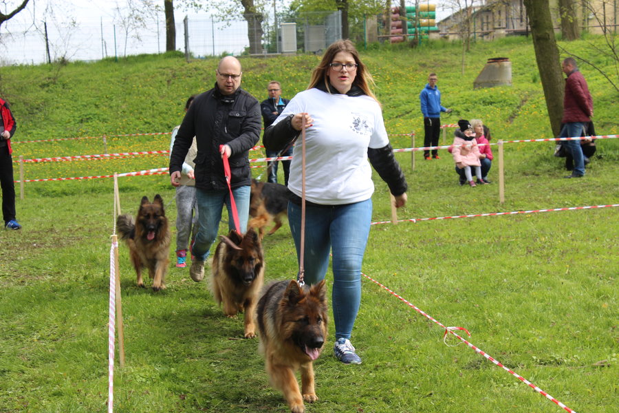 Pierwsza wystawa i ogromny sukces - film