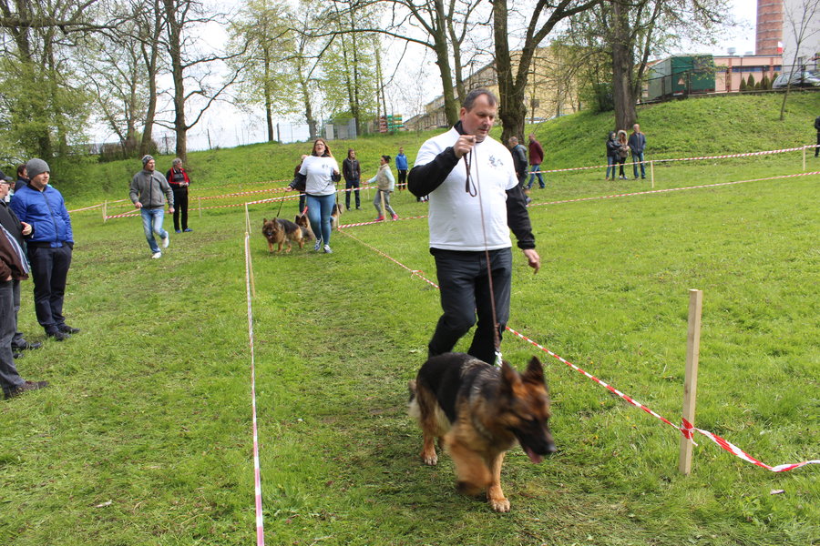 Pierwsza wystawa i ogromny sukces - film