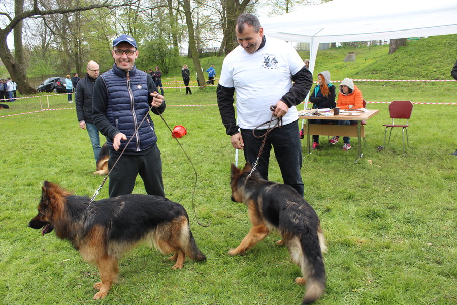 Pierwsza wystawa i ogromny sukces - film